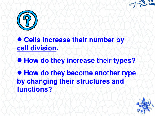 高等教学大一下生物PPT课件：cell differentiation and death