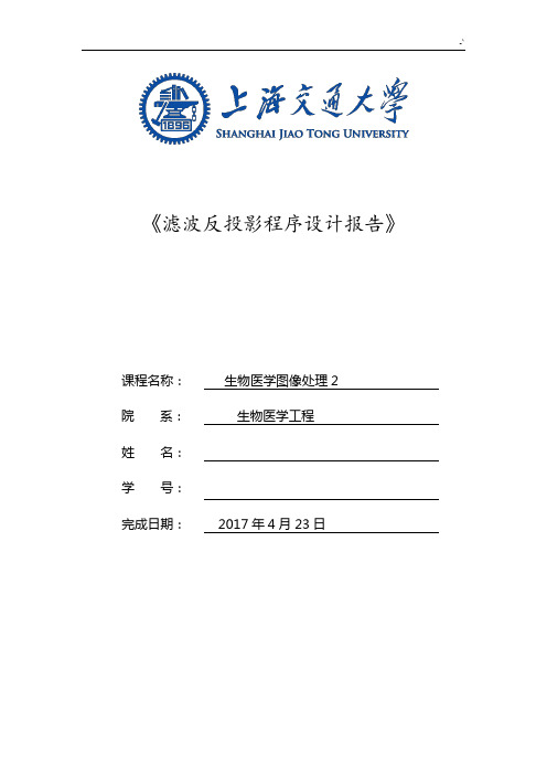 滤波反投影程序设计报告