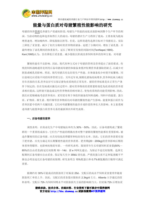 能量与蛋白质对母猪繁殖性能影响的研究