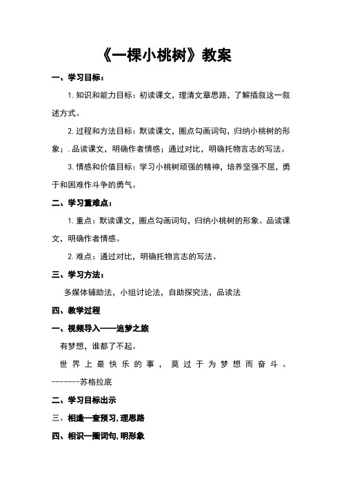 我的小桃树  教案