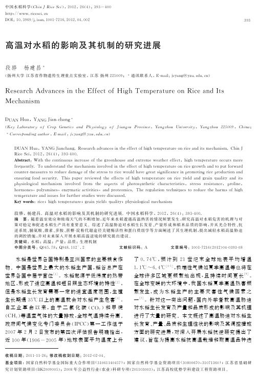 高温对水稻的影响及其机制的研究进展