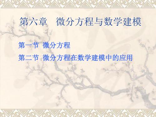 第六章微分方程与数学建模1