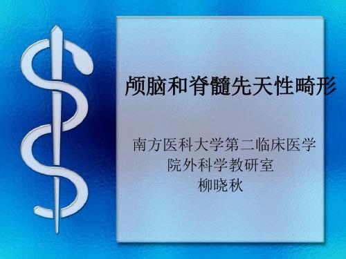 颅脑和脊髓先天性畸形ppt课件