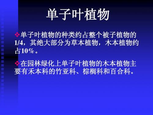 8单子叶植物