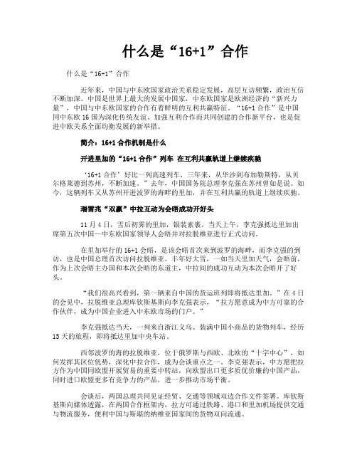 什么是“161”合作