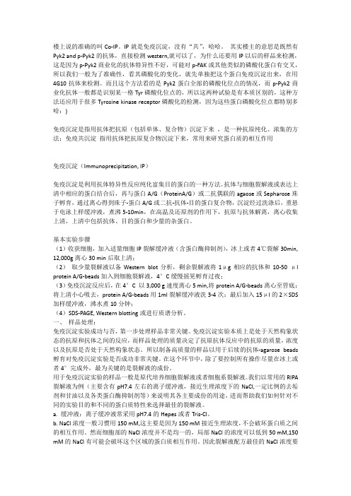 免疫沉淀IP 免疫共沉淀coIP 染色体免疫沉淀ChIP