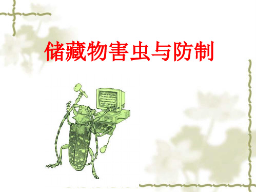 4-第一章 第四节 储藏物昆虫的腹部(3)
