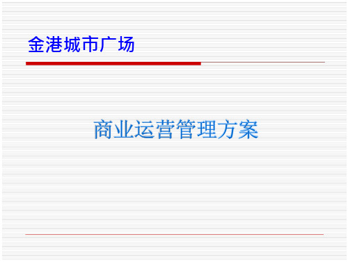 商业运营管理公司运营方案