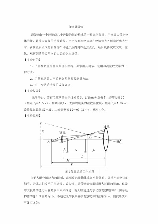 自组显微镜实验报告