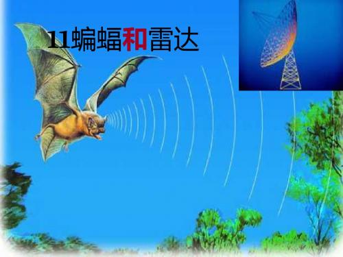 四年级下册语文课件311《蝙蝠和雷达》人教新课标 (共18张PPT)