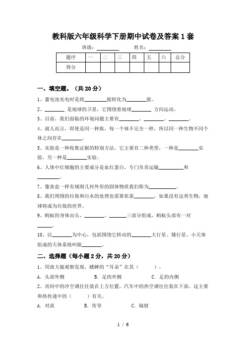 教科版六年级科学下册期中试卷及答案1套