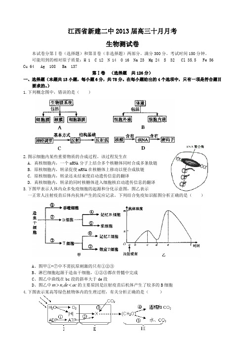 江西省新建二中2013届高三10月月考生物测试卷