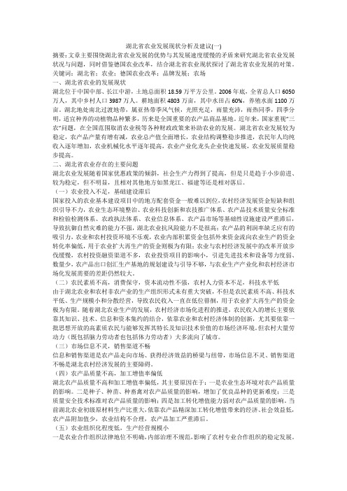 湖北省农业发展现状分析及建议(一)