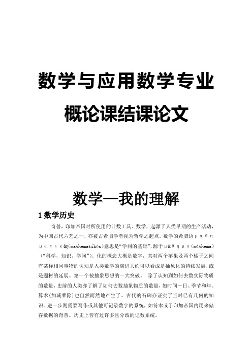 数学—我的理解  数学与应用数学专业概论课结课论文