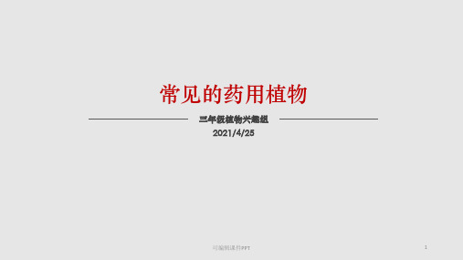 身边的药用植物ppt课件