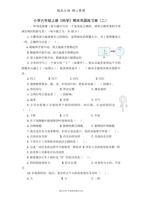 新教材教科版六年级上册科学 期末巩固课时练卷(二)(含答案)