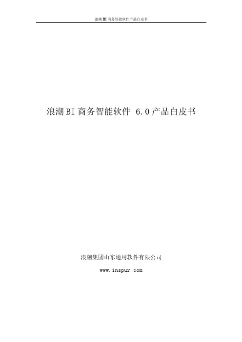 浪潮BI商务智能软件V6.0产品白皮书