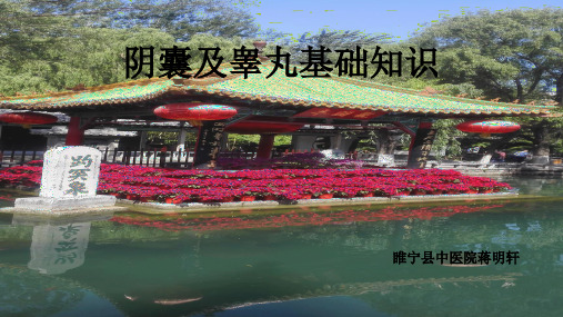 睾丸基础知识交流  归类整理