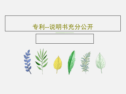 专利--说明书充分公开PPT共29页