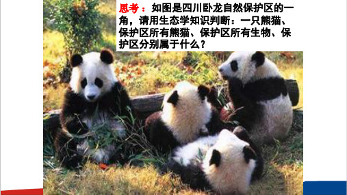 高中生物《生态系统的营养结构》优质课评选PPT课件