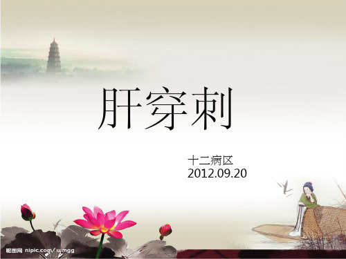 肝穿刺ppt课件