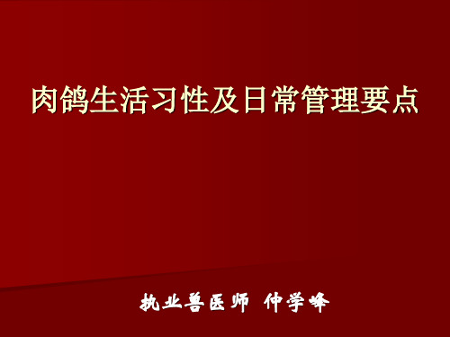 肉鸽生活习性及日常管理要点