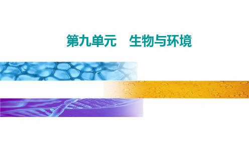 第九单元 第一讲 种群的特征和数量的变化-高考总复习生物课件