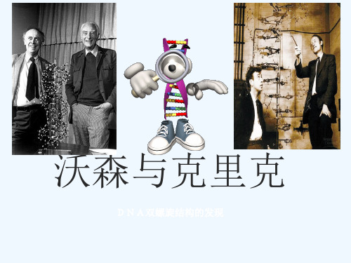 科学家简介沃森与克里克