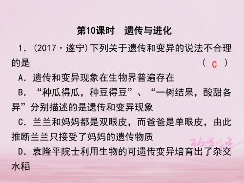 2018中考科学复习第一篇生命科学第10课时遗传与进化课后练习课件