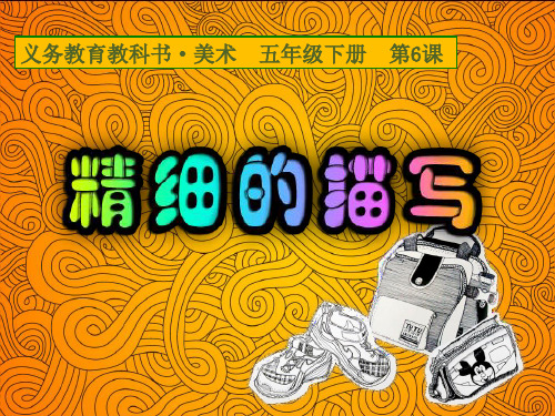 《精细的描写》
