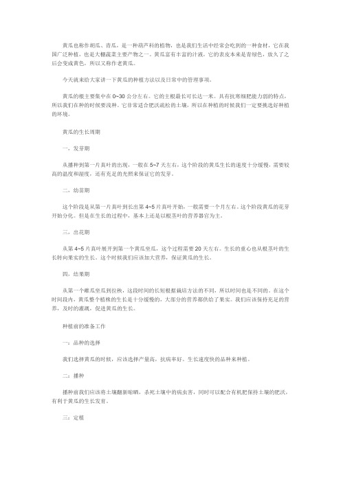 黄瓜也称作胡瓜