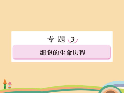 高三生物细胞增殖与受精作用PPT精品课件