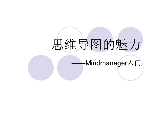 mindmanager培训课件.ppt