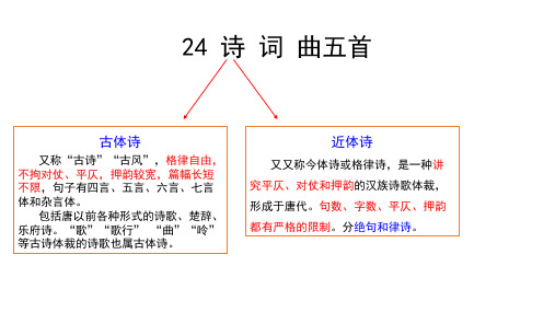 第24课《诗词曲五首》课件(共39页)2021-2022学年部编版语文九年级下册