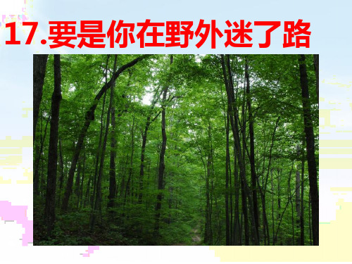 人教部编版二年级语文下册第17课.要是你在野外迷了路优秀  课件