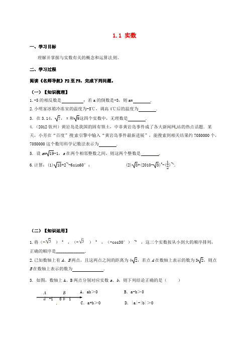 广东省河源市江东新区中考数学专题复习1.1实数导学案