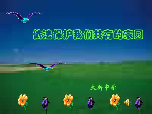 九年级政治依法保护人类共有的家园(教学课件2019)