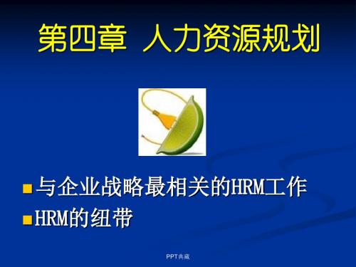 人力资源规划的程序与方法PPT课件