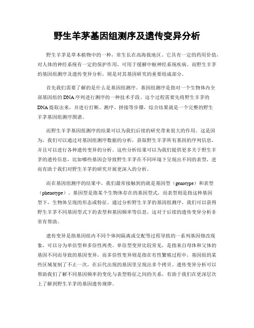 野生羊茅基因组测序及遗传变异分析