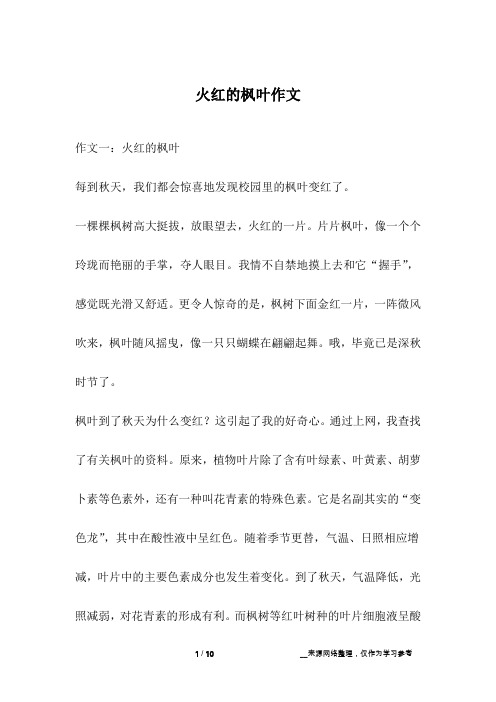 火红的枫叶作文
