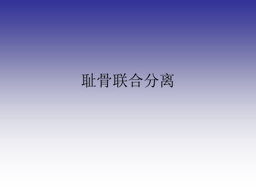 耻骨联合分离课件