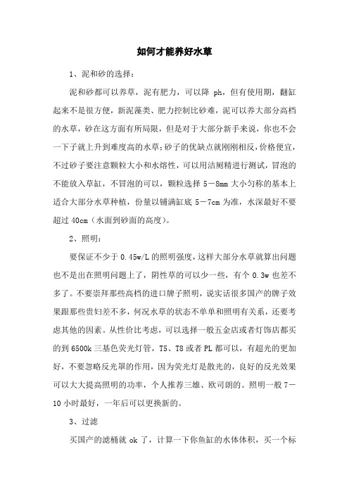 如何才能养好水草