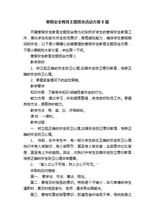 寒假安全教育主题班会活动方案5篇