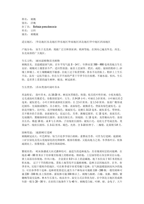 刺槐介绍