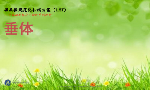 课件：垂体规范化扫描方案