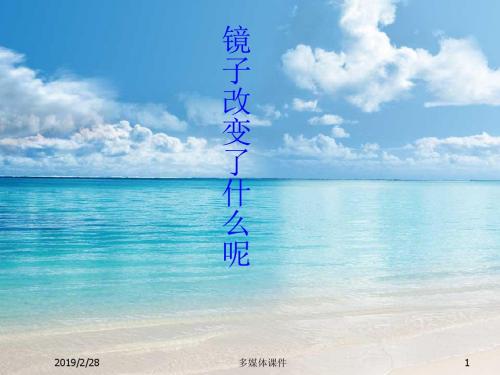 七年级数学下册 7.5 镜子改变了什么2课件 北师大版