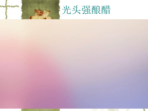 制作发酵食品课件