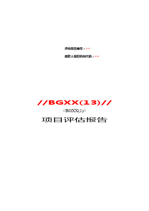 项目评估报告格式文本