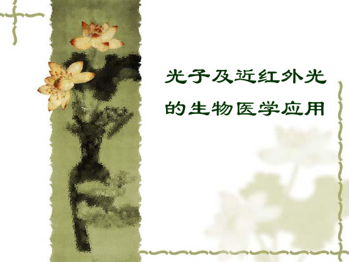生物医学光子学山东大学