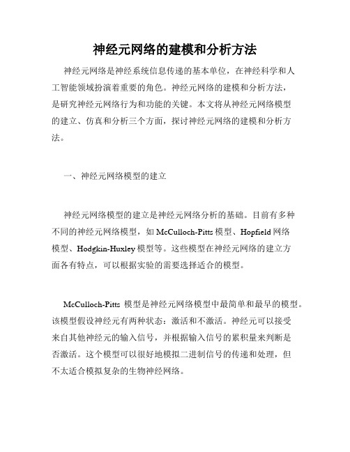 神经元网络的建模和分析方法